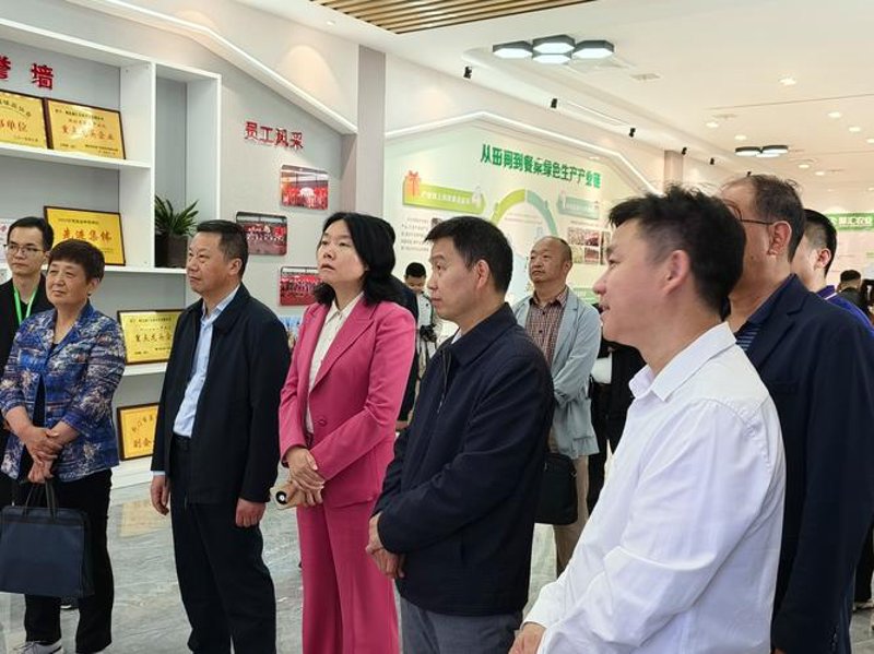 微信小程序开发：轻量化的应用之选